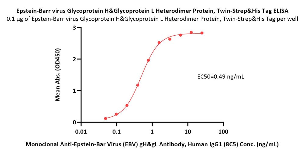 Glycoprotein H & Glycoprotein L/gH & gL (EBV) ELISA