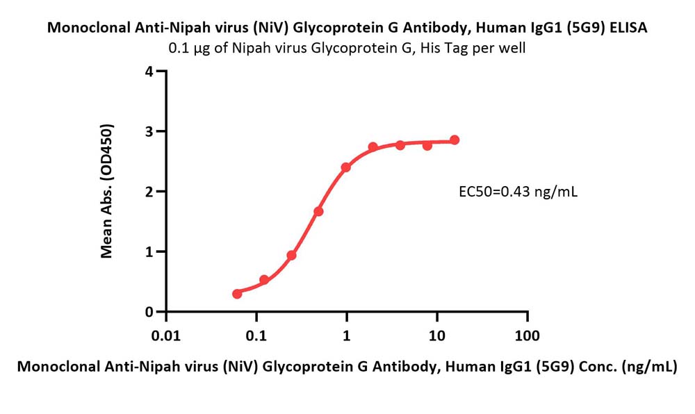 Glycoprotein G (NiV) ELISA
