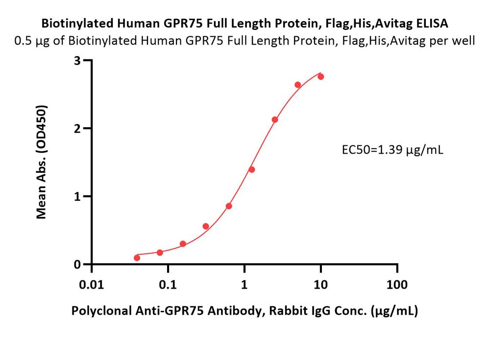 GPR75 ELISA
