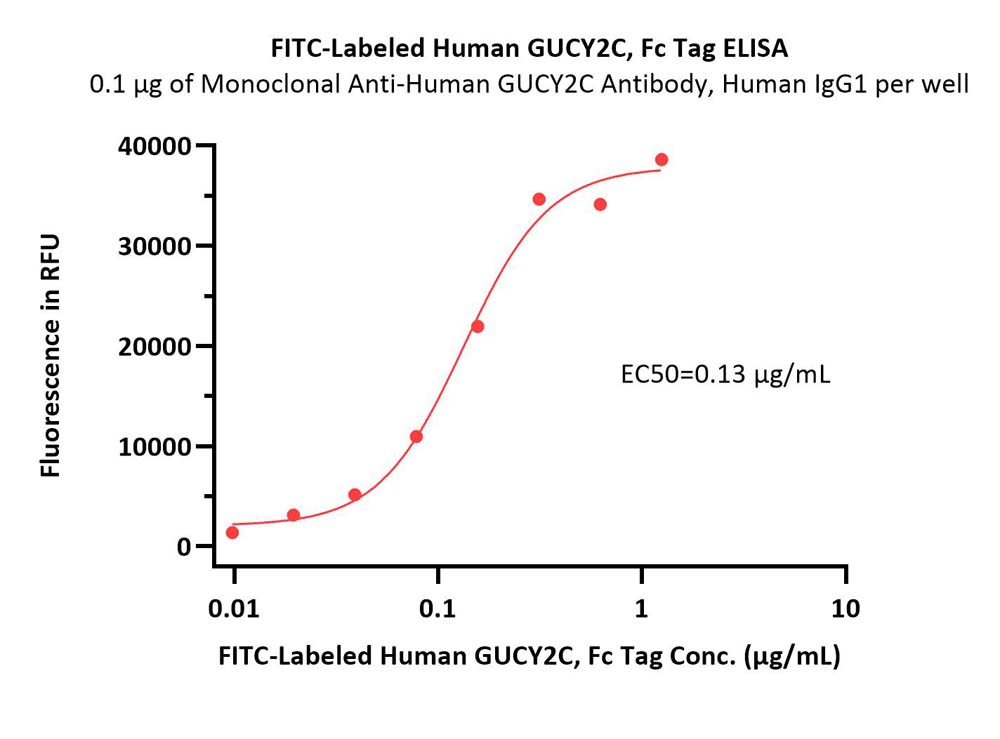 FITC-Labeled Human GUCY2C / Guanylyl cyclase C Protein, Fc Tag