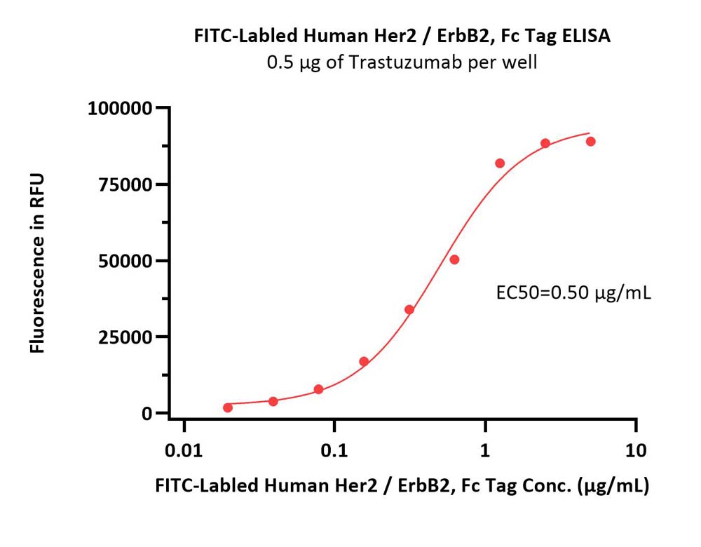 FITC-Labeled Human Her2 / ErbB2 Protein, Fc Tag