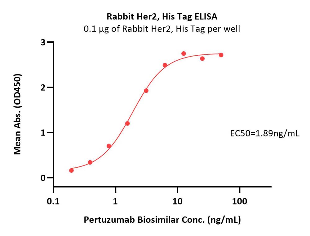 Rabbit Her2 / ErbB2 Protein, His Tag (MALS verified)