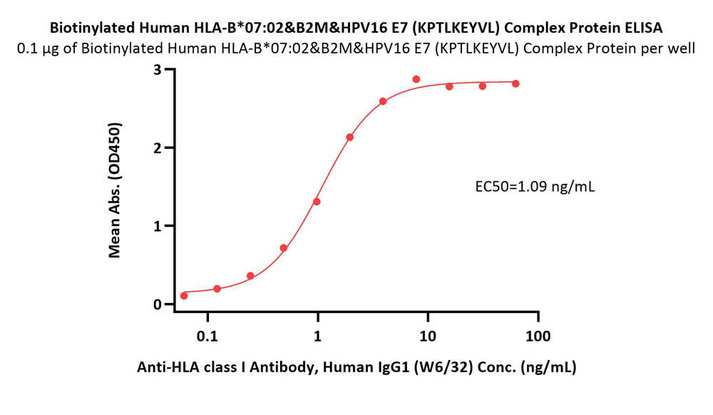 Biotinylated Human HLA-B*07:02&B2M&HPV16 E7 (KPTLKEYVL) Complex
