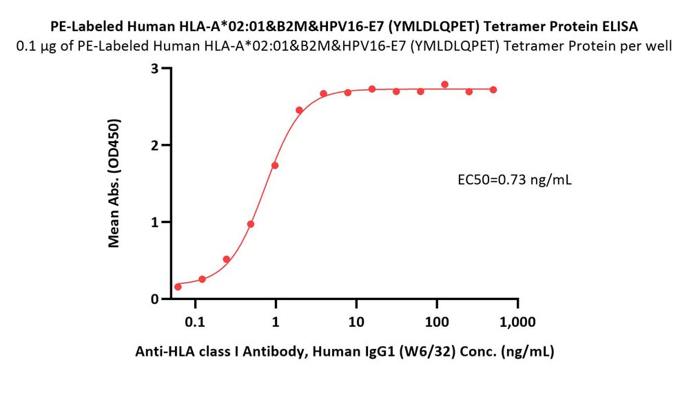 PE-Labeled Human HLA-A*02:01&B2M&HPV16-E7 (YMLDLQPET) Tetramer