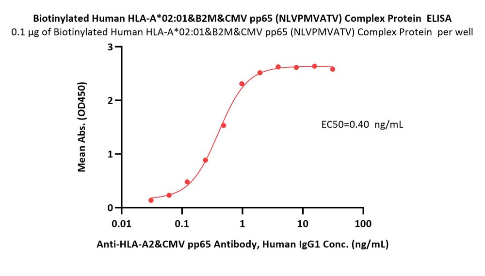Biotinylated Human HLA-A*02:01&B2M&CMV pp65 (NLVPMVATV) Complex