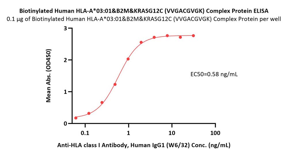 Biotinylated Human HLA-A*03:01&B2M&KRASG12C (VVGACGVGK) Complex