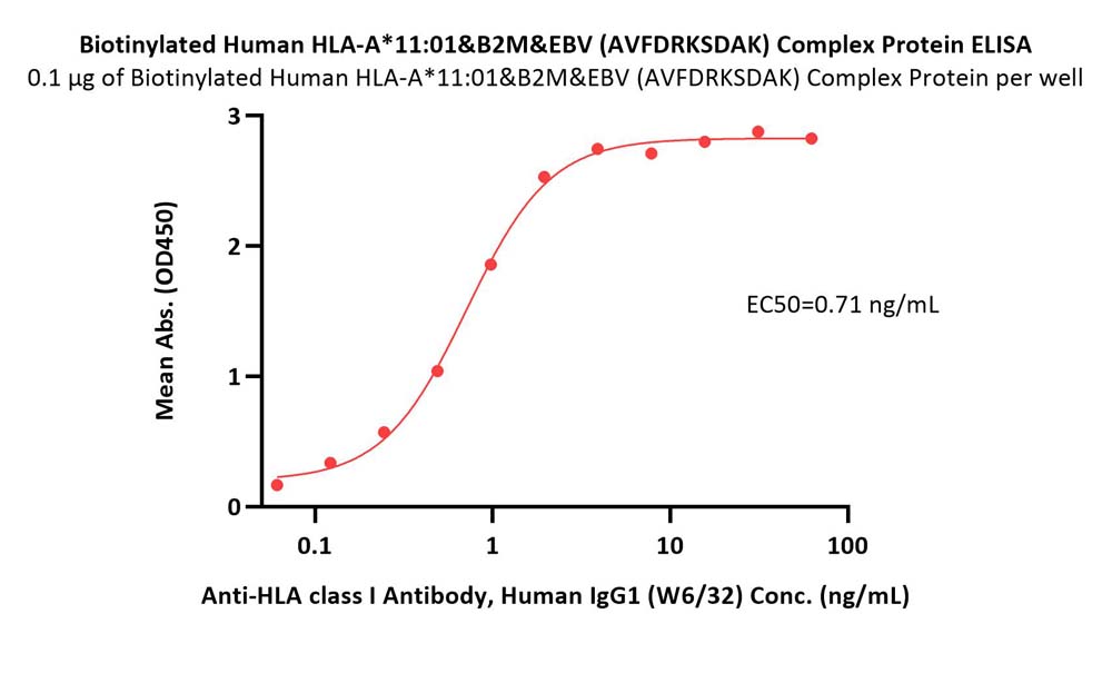 Biotinylated Human HLA-A*11:01&B2M&EBV (AVFDRKSDAK) Complex Pro