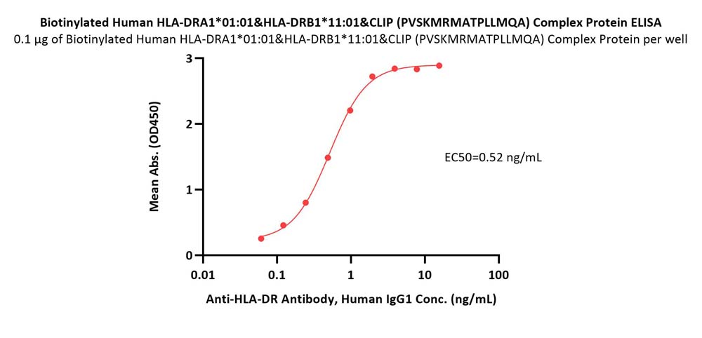 Biotinylated Human HLA-DRA1*01:01&HLA-DRB1*11:01&CLIP (PVSKMRMA