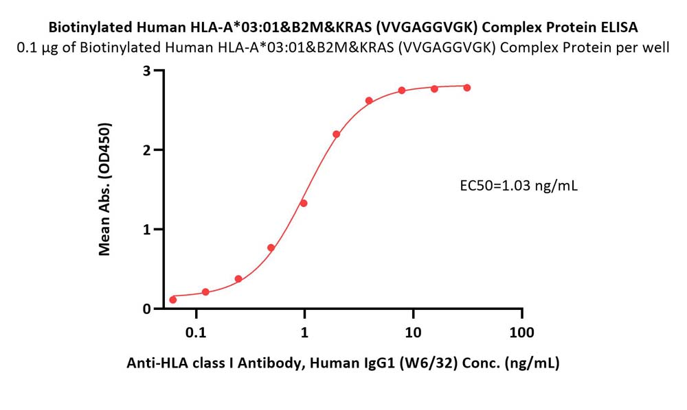 Biotinylated Human HLA-A*03:01&B2M&KRAS (VVGAGGVGK) Complex Pro