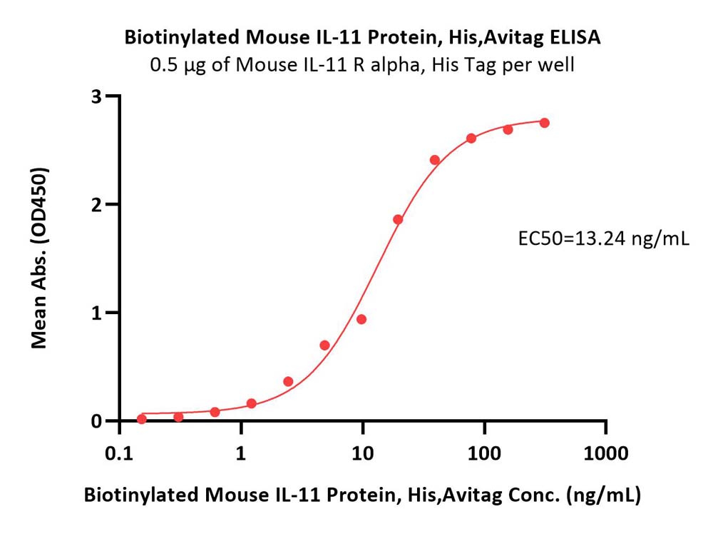 IL-11 ELISA