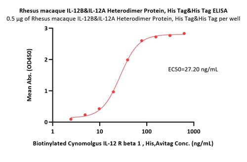 IL-12B & IL-12A ELISA