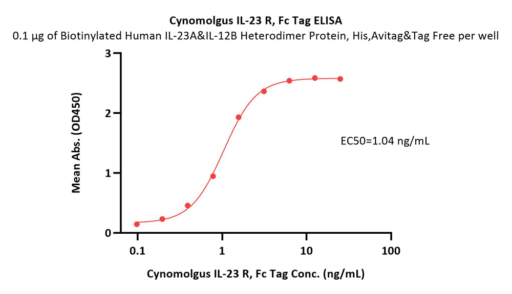 Cynomolgus IL-23 R Protein, Fc Tag