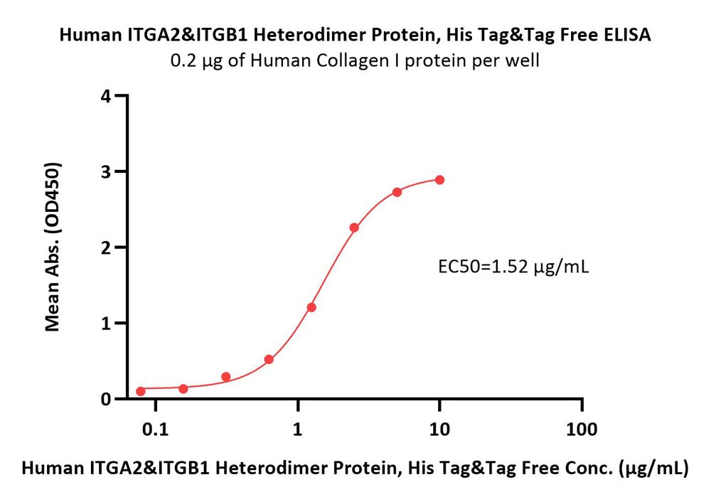 Human Integrin alpha 2 beta 1 (ITGA2&ITGB1) Heterodimer Protein