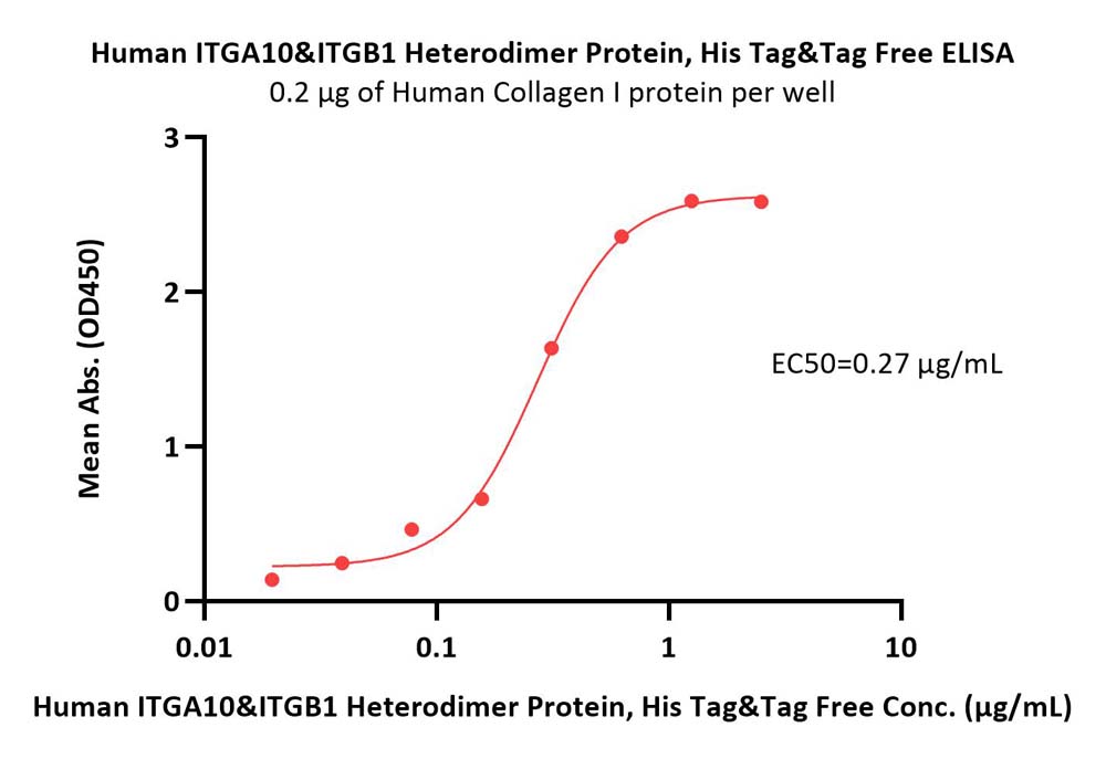 Human Integrin alpha 10 beta 1 (ITGA10&ITGB1) Heterodimer Prote