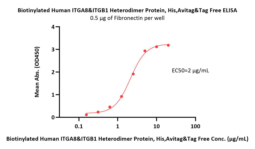 Biotinylated Human Integrin alpha 8 beta 1 (ITGA8&ITGB1) Hetero