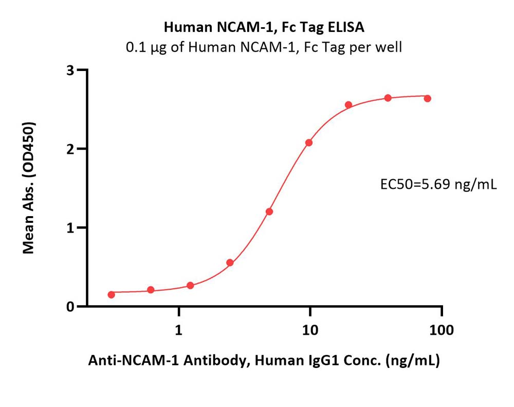 Human NCAM-1 / CD56 Protein, Fc Tag (MALS verified)
