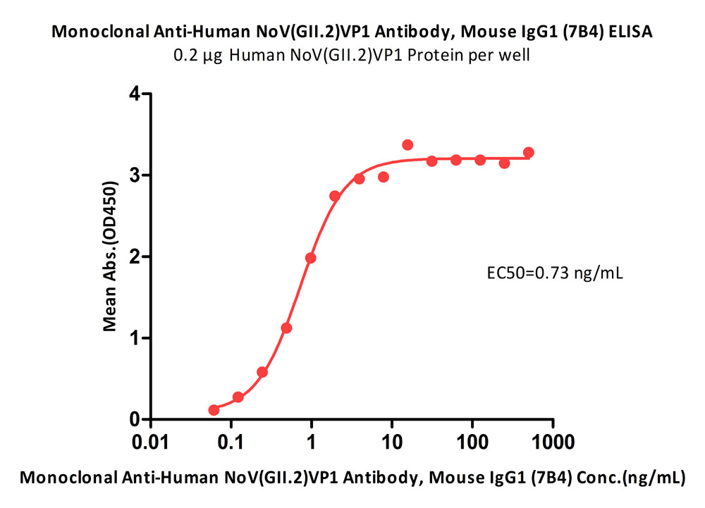 Monoclonal Anti-Human NoV(GII.2)VP1 Antibody, Mouse IgG1 (7B4)