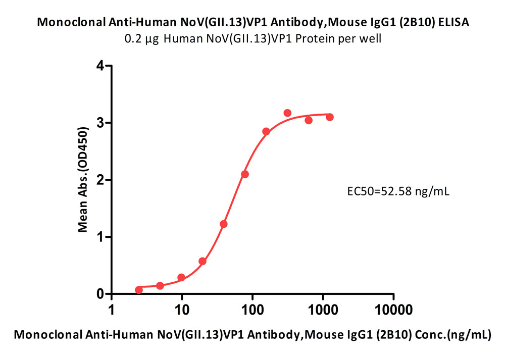 Monoclonal Anti-Human NoV(GII.13)VP1 Antibody, Mouse IgG1 (2B10