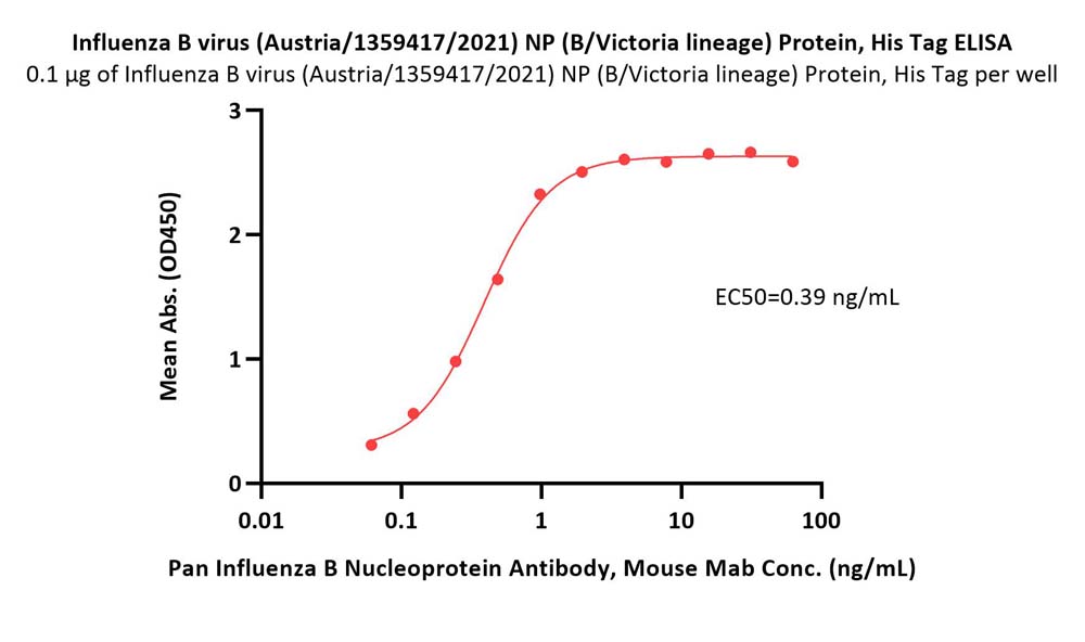 Influenza B virus (Austria/1359417/2021) NP (B/Victoria lineage