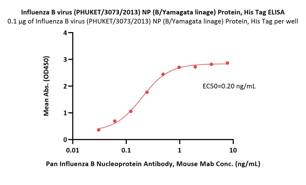 Influenza B virus (PHUKET/3073/2013) NP (B/Yamagata linage) Pro