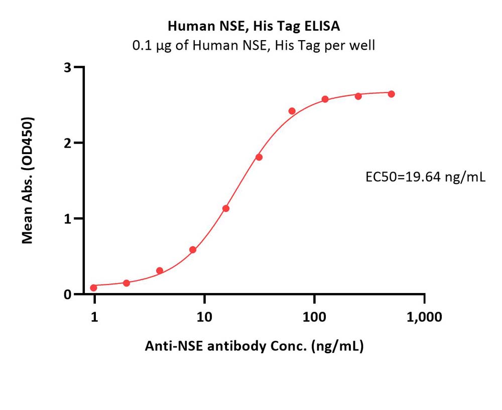 Human NSE Protein, His Tag (MALS verified)