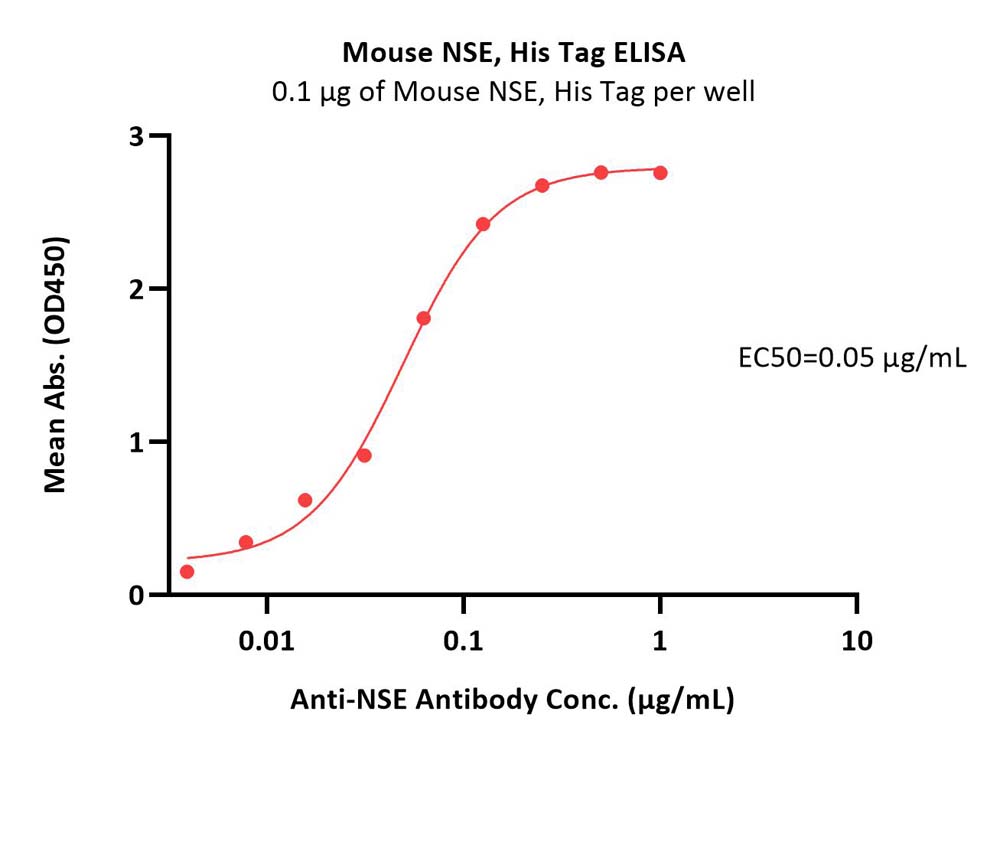 Mouse NSE Protein, His Tag (MALS verified)