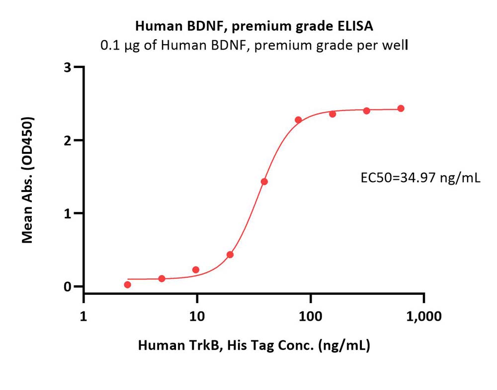 Human TrkB / NTRK2 Protein, His Tag