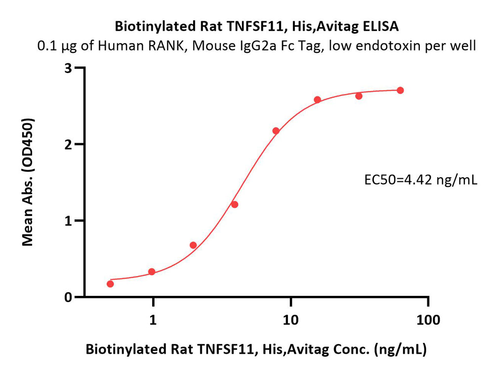 Biotinylated Rat TNFSF11 / RANKL / CD254 Protein, His,Avitag™