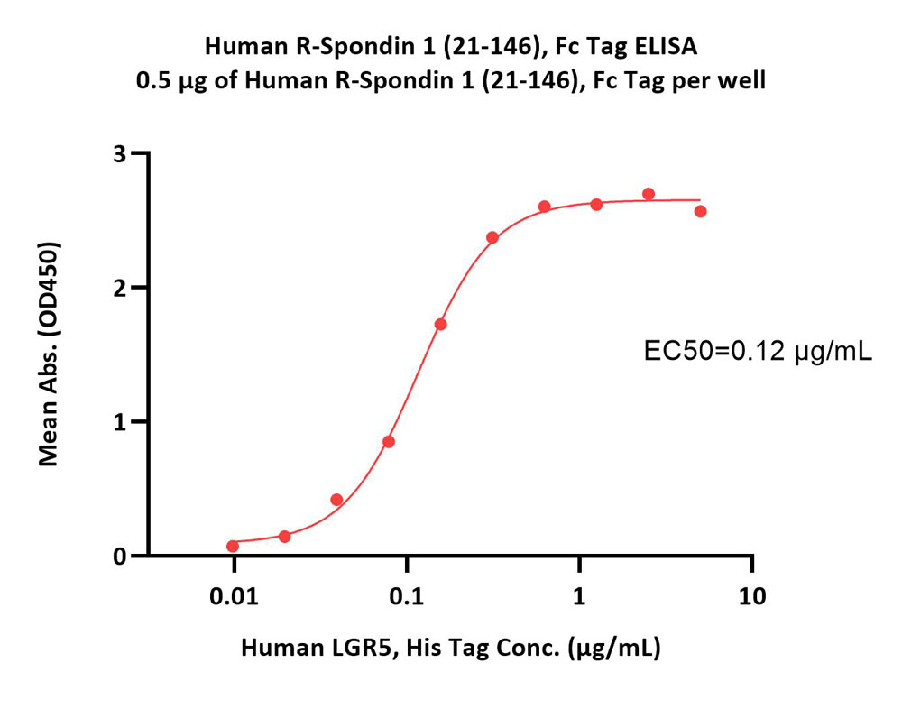 R-Spondin 1 ELISA