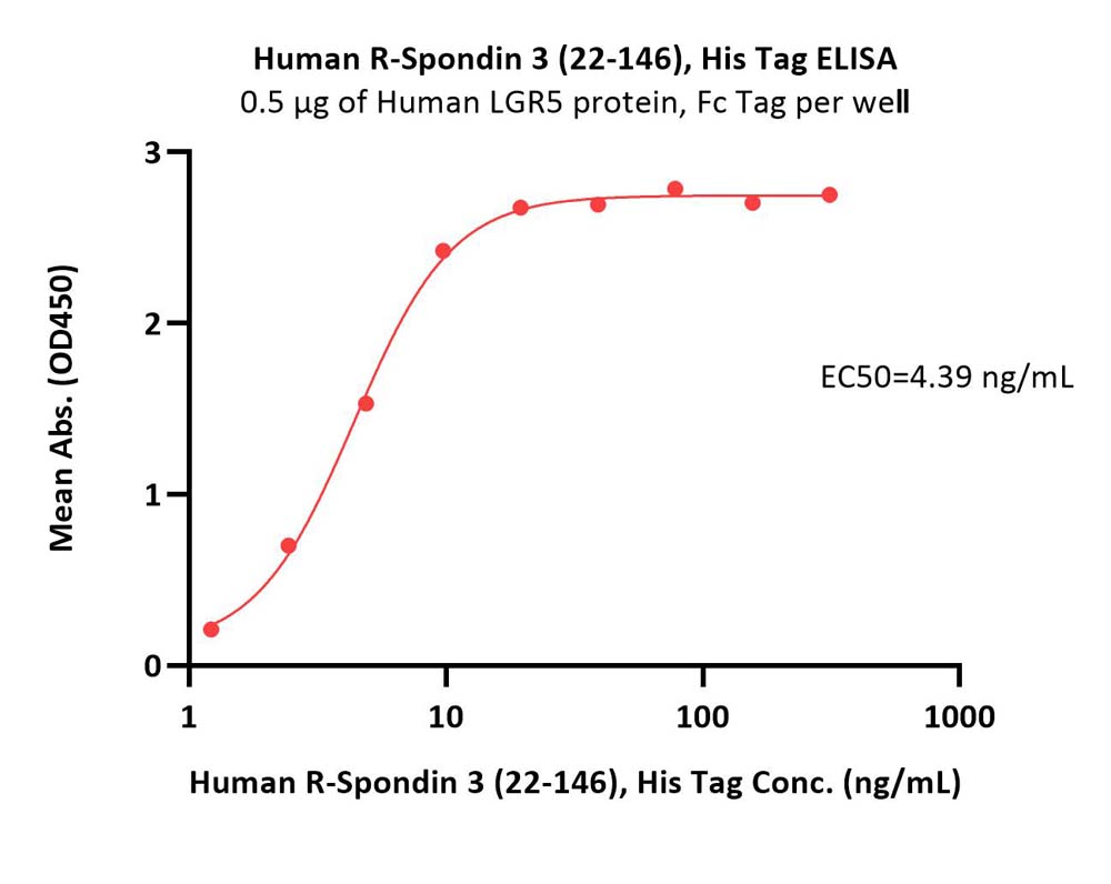 R-Spondin 3 ELISA