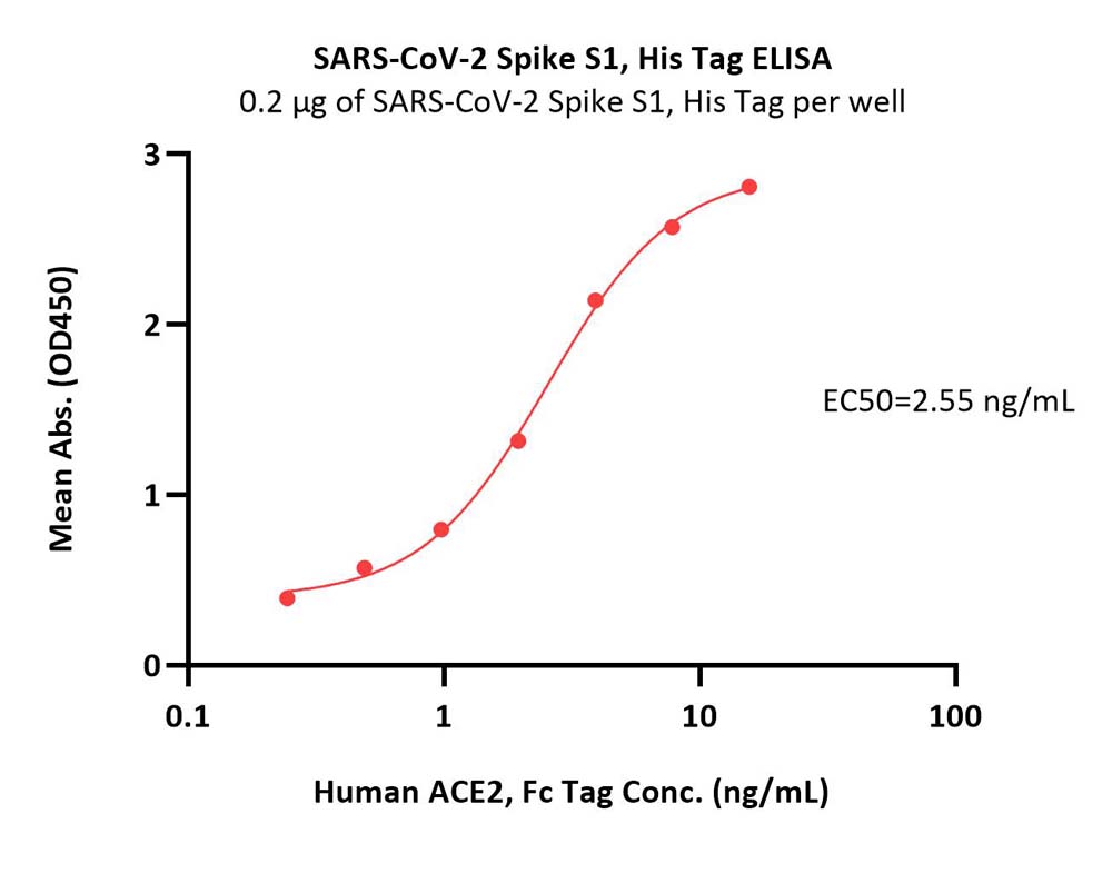 SARS-CoV-2 Spike S1 Protein (T19R, G142D, EF156-157del, R158G,