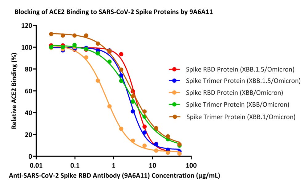 Spike RBD ELISA