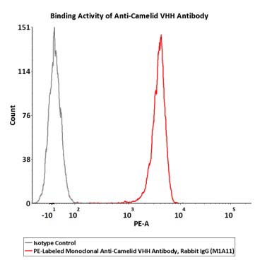 Camelid VHH FACS