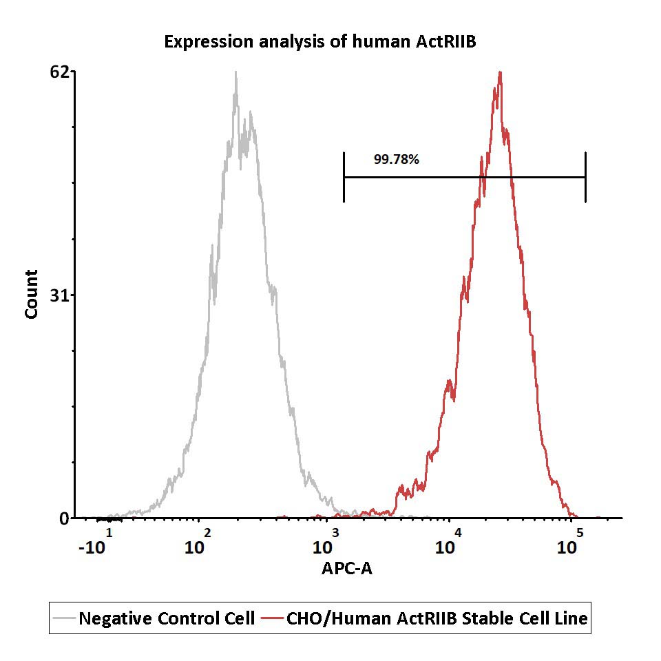 ActRIIB FACS