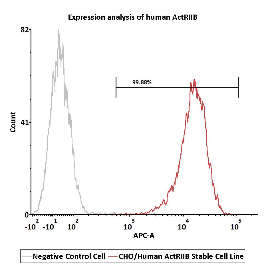 ActRIIB FACS