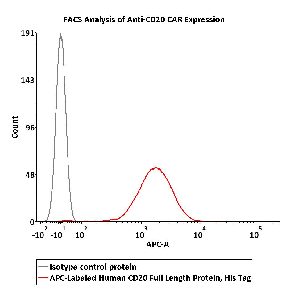 CD20 FACS