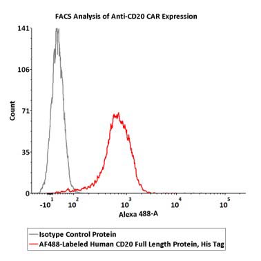 CD20 FACS