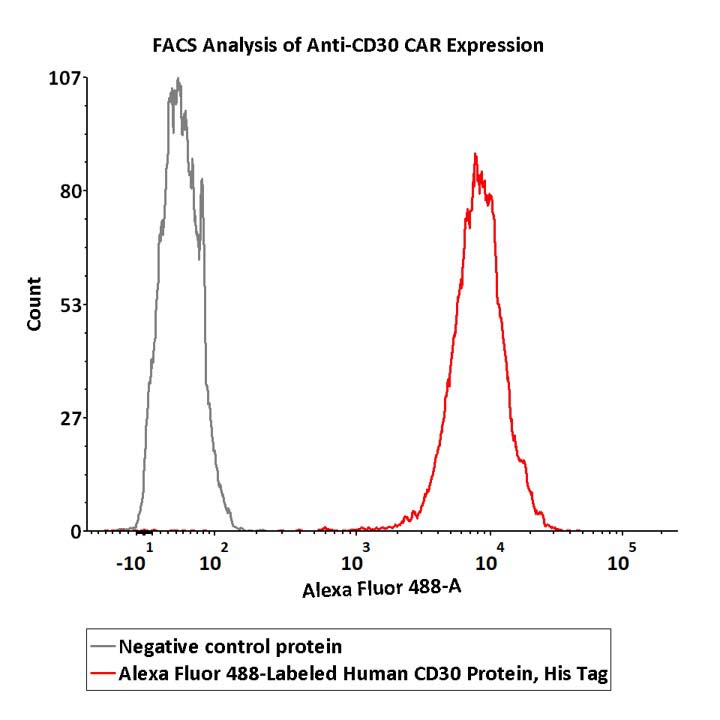 CD30 FACS