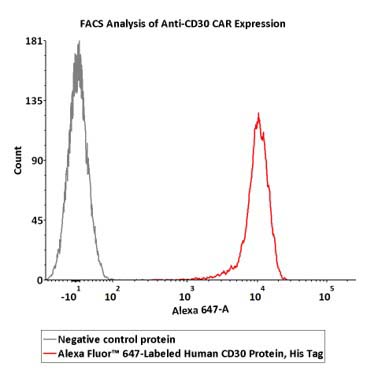 CD30 FACS