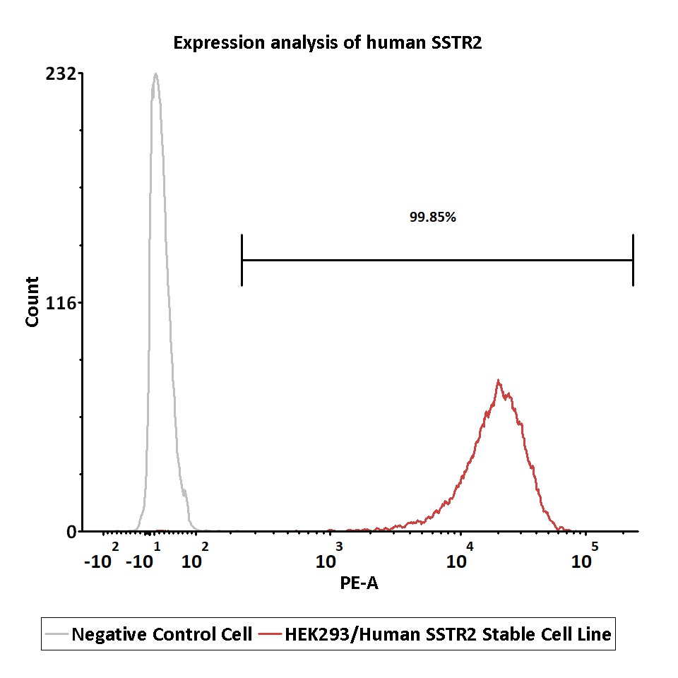HEK293/Human SSTR2 Stable Cell Line | ACROBiosystems