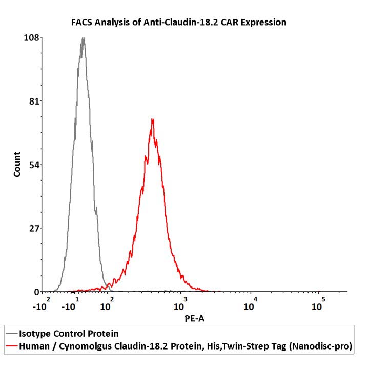Claudin-18.2 FACS