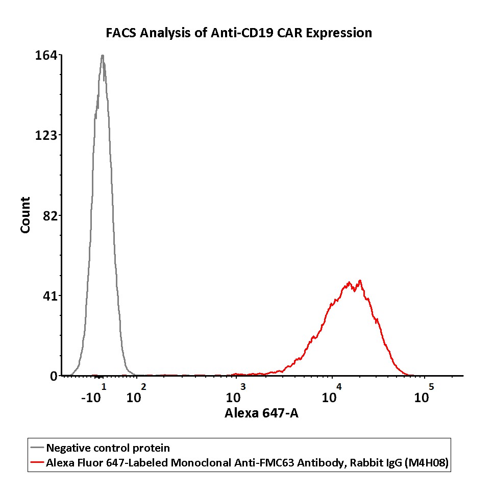 Alexa Fluor™ 647-Labeled Monoclonal Anti-FMC63 Antibody, Rabbit