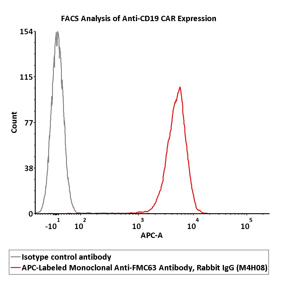 APC-Labeled Monoclonal Anti-FMC63 Antibody, Rabbit IgG (M4H08)