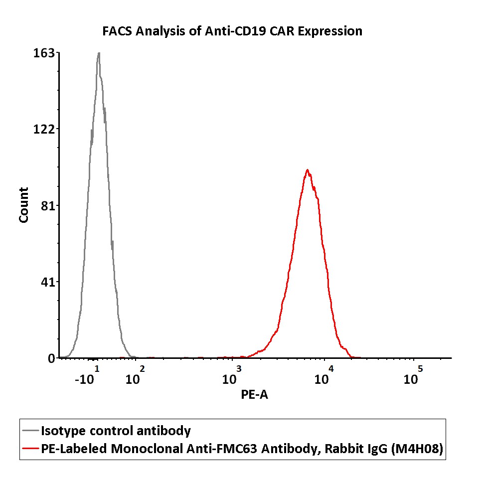 PE-Labeled Monoclonal Anti-FMC63 Antibody, Rabbit IgG (M4H08) (