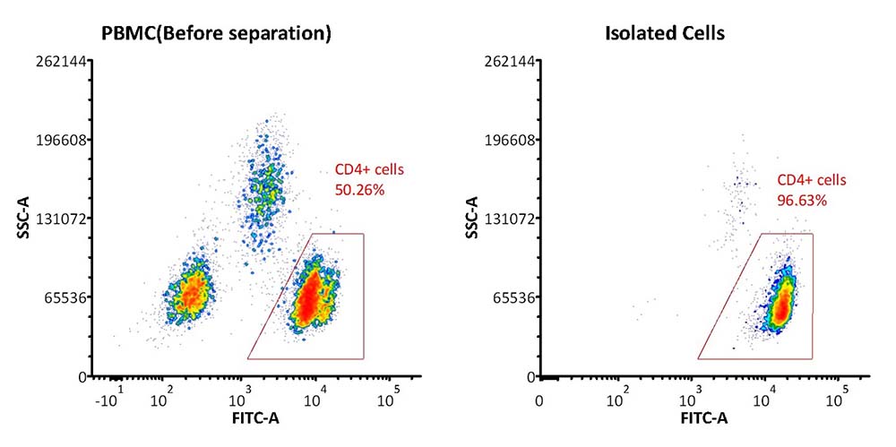 CD4 FACS