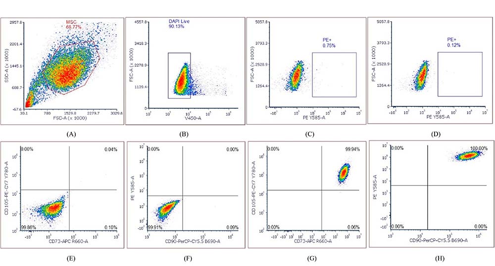 Cell phenotyping FACS