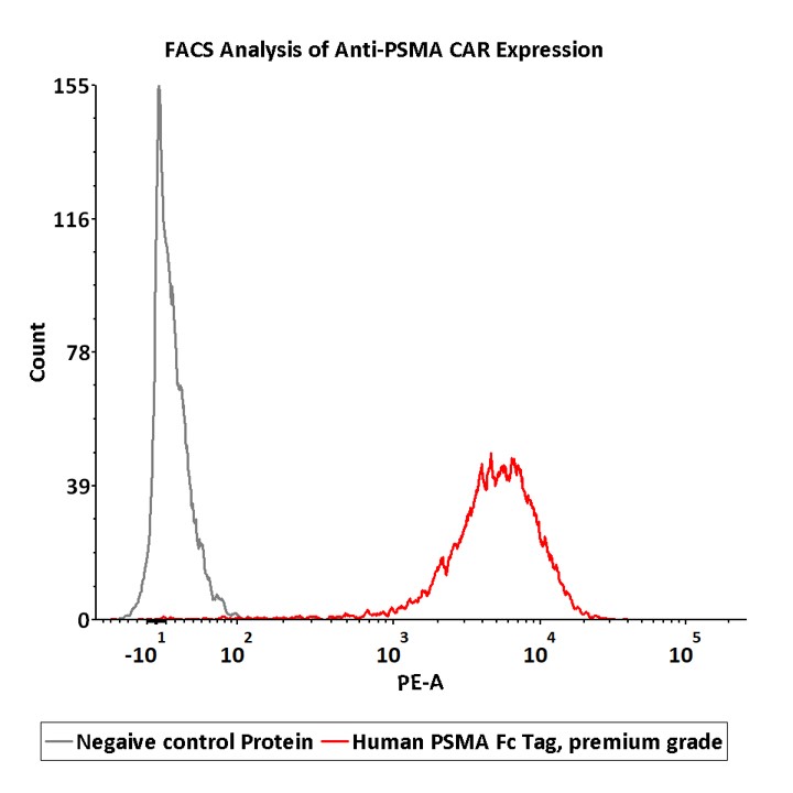 Human PSMA / FOLH1 Protein, Fc Tag, premium grade