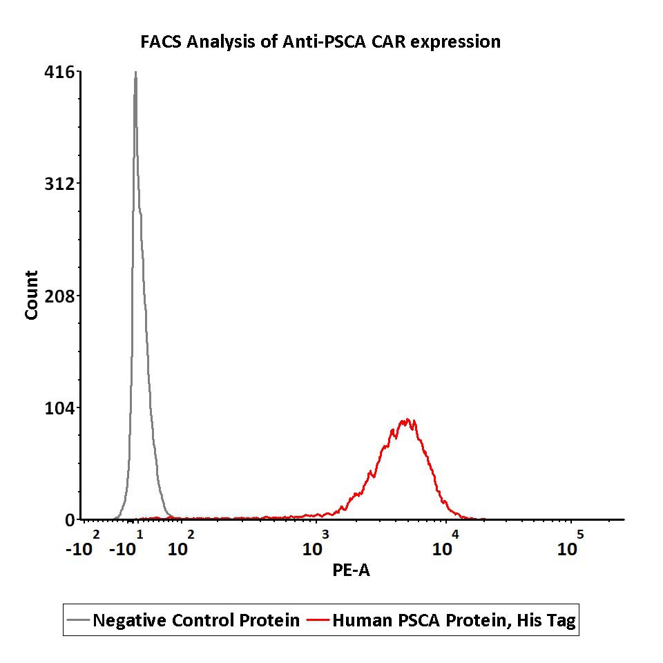 Human PSCA Protein, His Tag