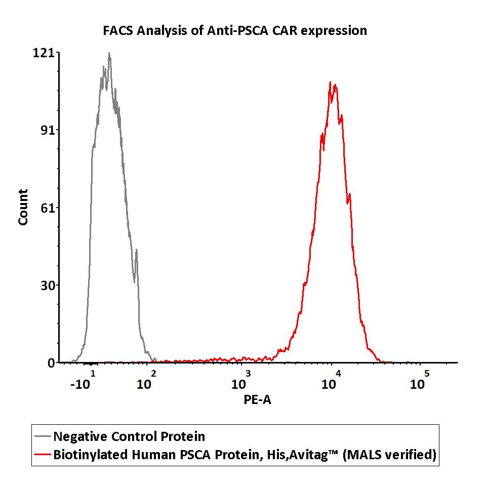 Biotinylated Human PSCA Protein, His,Avitag™ (MALS verified)