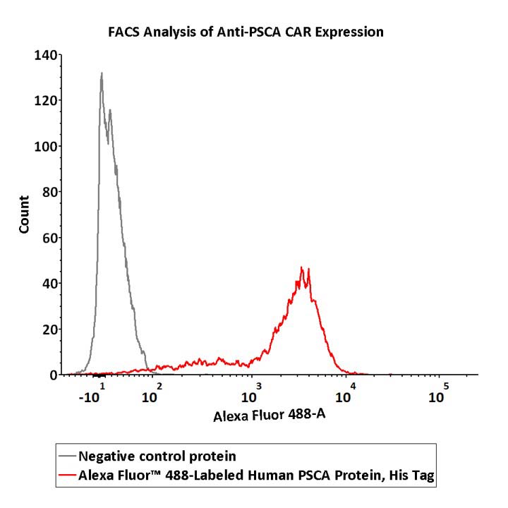 PSCA FACS